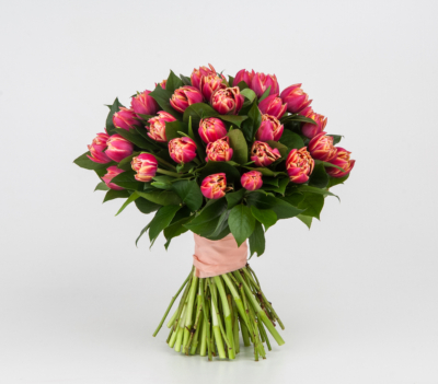 Tulipany peoniowate Gift & Flowers