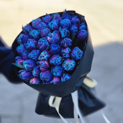 Królowa Nocy – bukiet tulipanów w odcieniach granatu i fioletu w eleganckim opakowaniu